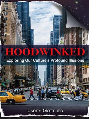 cover image of Hoodwinked